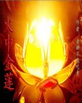 火中金莲
