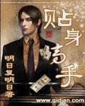 贴身高手(明日复明日)