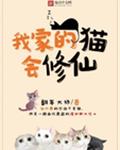 我家的猫会修仙
