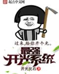 最强开光系统
