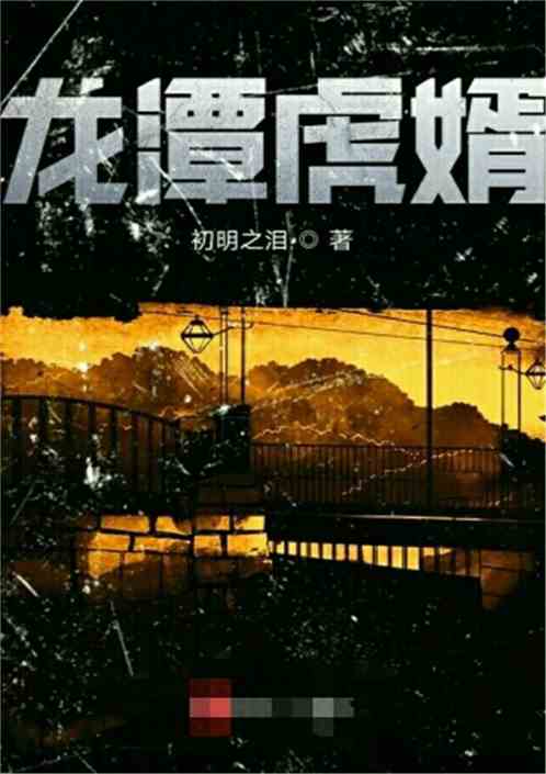 龙潭虎婿