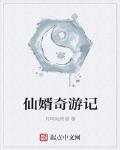 仙婿奇游记