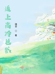 追上高冷总裁