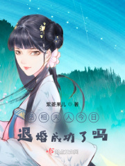 丞相夫人今日退婚成功了吗？