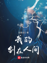 我的剑在人间