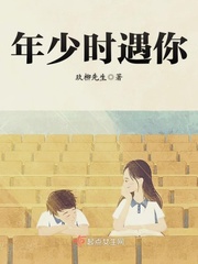 年少时遇你