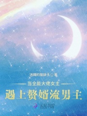 当全能大佬女主遇上赘婿流男主
