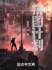 拼图计划：变诡