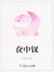 奁中钗
